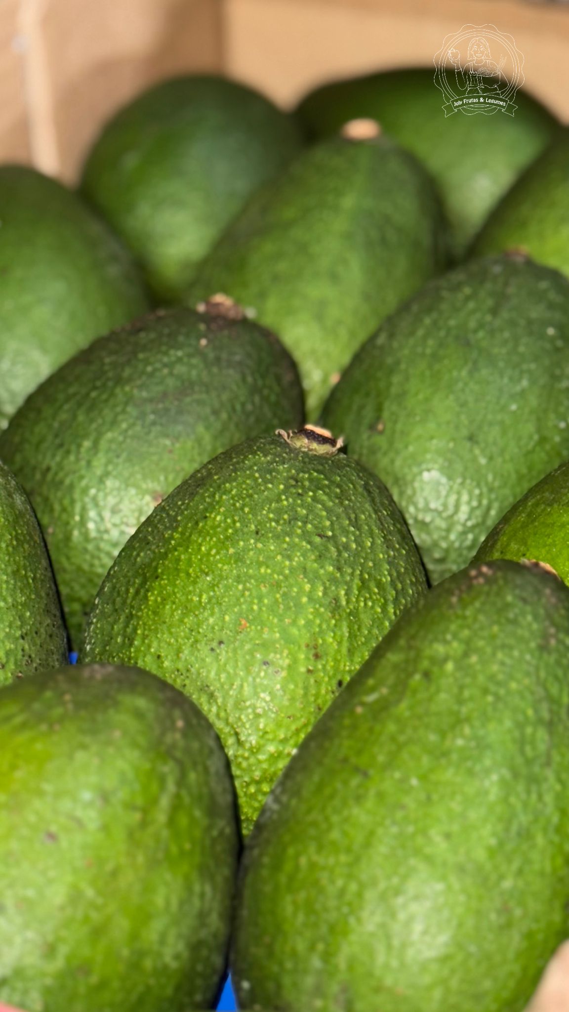 Abacate fresco — Frutas da July Frutas & Legumes