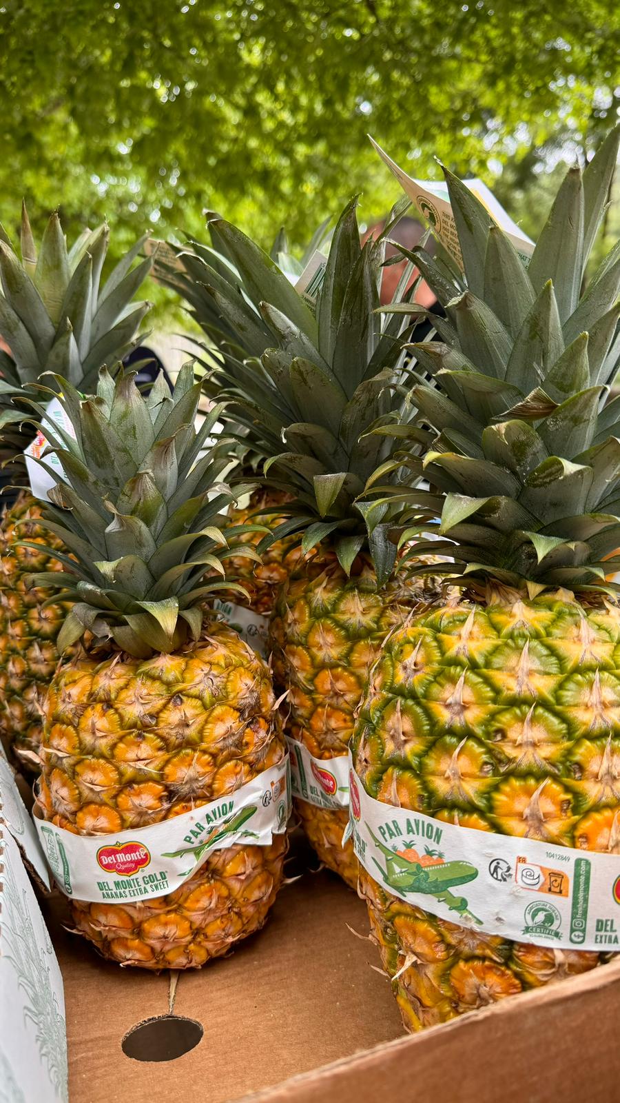 Abacaxi Delmonte (de avião) fresco — Frutas da July Frutas & Legumes