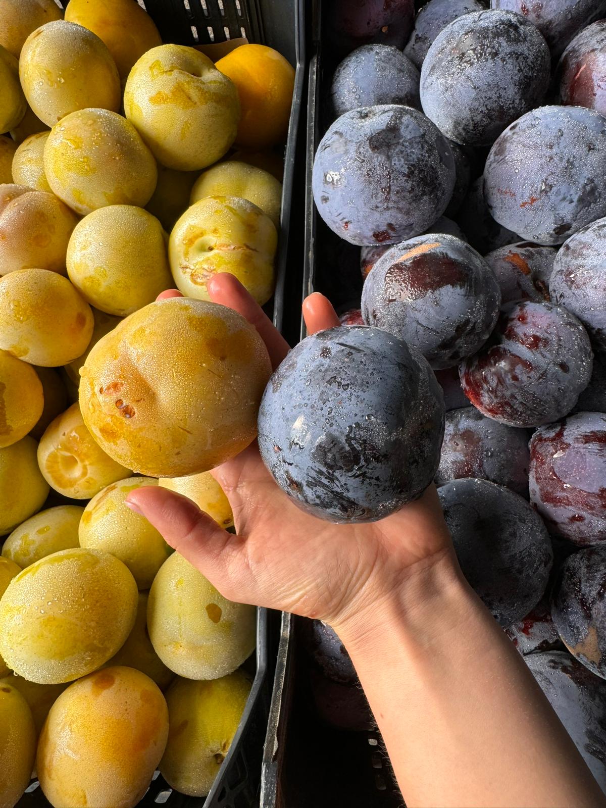 Ameixa branca fresco — Frutas da July Frutas & Legumes